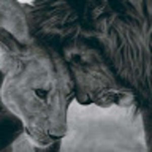 Meet your Posher, Stclair73